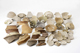 FileNo.163-028.jpg