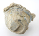 FileNo.163-058.jpg