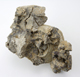 FileNo.163-060.jpg