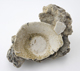 FileNo.163-061.jpg