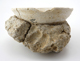 FileNo.163-063.jpg