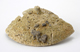 FileNo.163-067.jpg