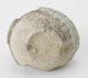FileNo.163-084.jpg