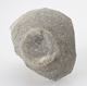 FileNo.163-088.jpg