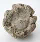 FileNo.163-091.jpg