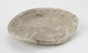 FileNo.163-094.jpg