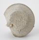 FileNo.163-097.jpg