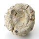 FileNo.163-102.jpg