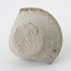 FileNo.163-104.jpg