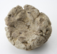 FileNo.163-105.jpg