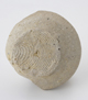 FileNo.163-107.jpg