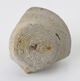FileNo.163-113.jpg