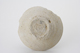 FileNo.163-134.jpg