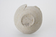 FileNo.163-137.jpg