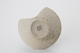 FileNo.163-143.jpg