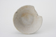 FileNo.163-157.jpg