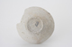 FileNo.163-158.jpg