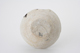 FileNo.163-164.jpg