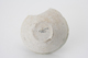 FileNo.163-167.jpg