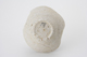 FileNo.163-170.jpg