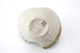 FileNo.163-175.jpg