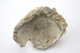 FileNo.163-176.jpg