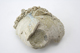 FileNo.163-177.jpg