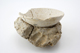 FileNo.163-182.jpg