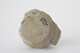FileNo.163-191.jpg
