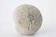 FileNo.163-203.jpg