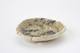 FileNo.163-209.jpg