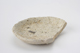 FileNo.163-211.jpg