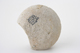 FileNo.163-212.jpg