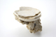 FileNo.163-215.jpg