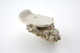 FileNo.163-216.jpg
