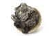 FileNo.163-218.jpg