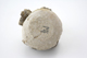FileNo.163-221.jpg