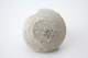 FileNo.163-223.jpg