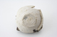 FileNo.163-224.jpg