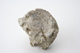 FileNo.163-229.jpg