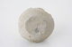 FileNo.163-232.jpg