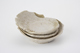 FileNo.163-250.jpg