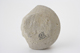 FileNo.163-255.jpg