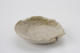 FileNo.163-259.jpg
