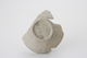 FileNo.163-263.jpg