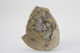 FileNo.163-265.jpg
