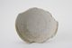 FileNo.163-268.jpg