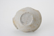 FileNo.163-269.jpg