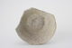 FileNo.163-274.jpg