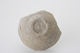 FileNo.163-275.jpg